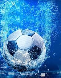 体育记者王女士用户头像